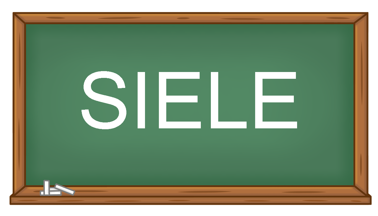 Curso de preparación SIELE